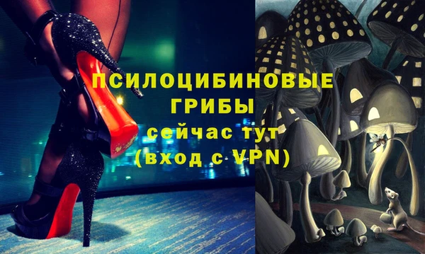 бутират Переславль-Залесский