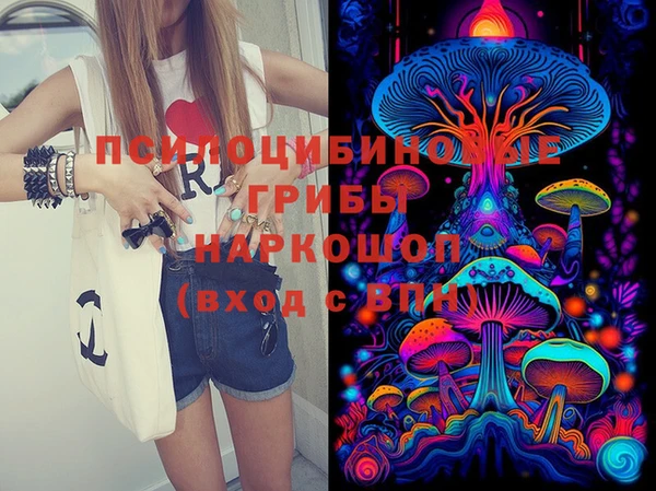 стафф Покачи