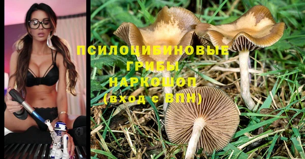 индика Покров