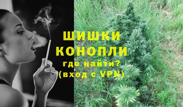 индика Покров